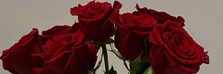 EsdeathML's profile banner image