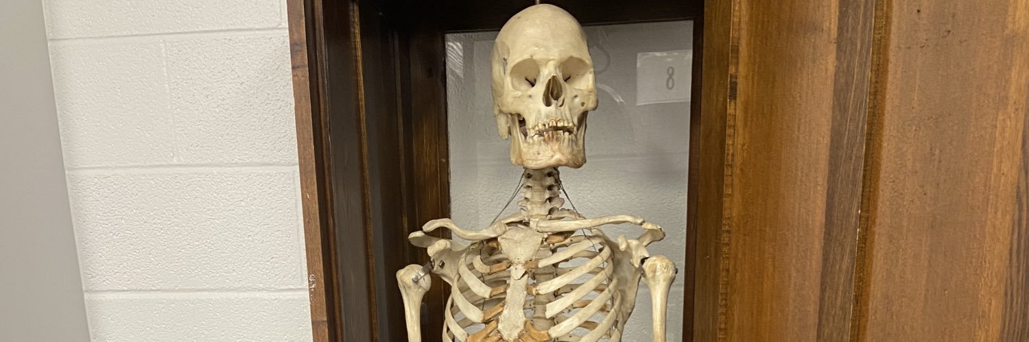 AK Curtis PhD banner