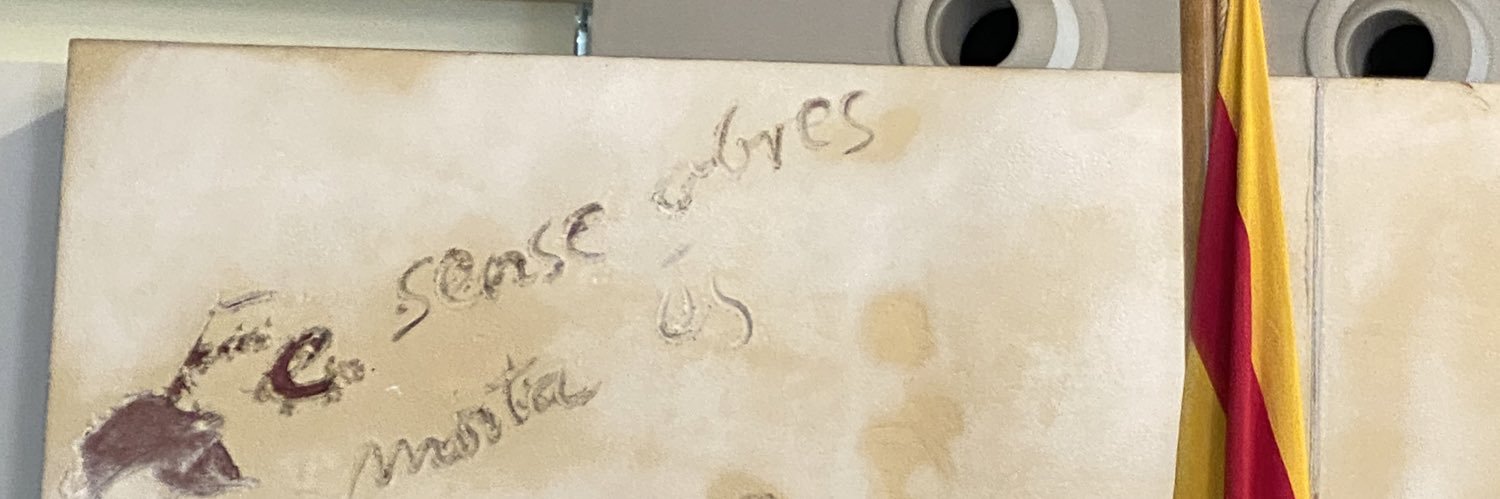 Anna Simó Castelló banner