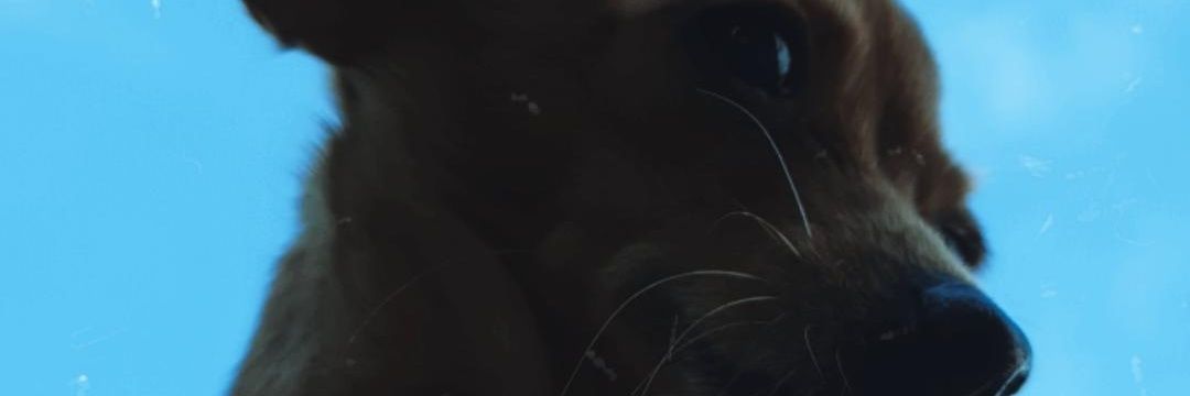 MarTerrazaf's profile banner image