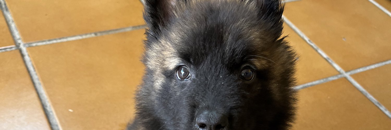 joose_puga7's profile banner image