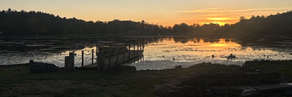 tommypajic Profile Banner