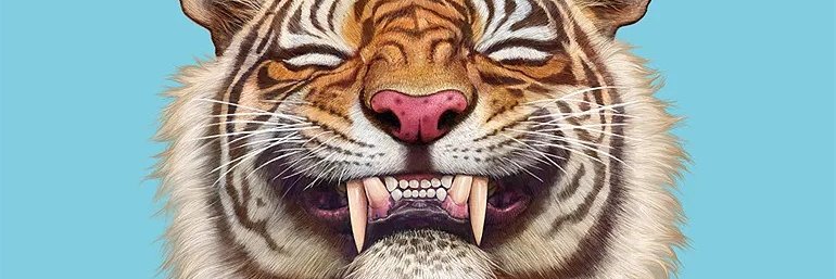 iovanny Olguín Ávila banner