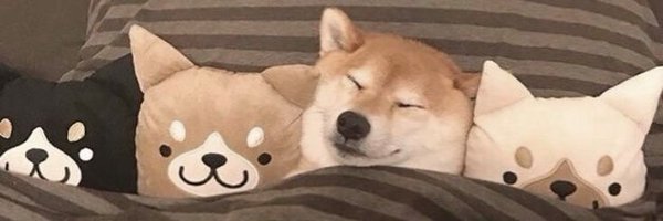 issoefofo Profile Banner