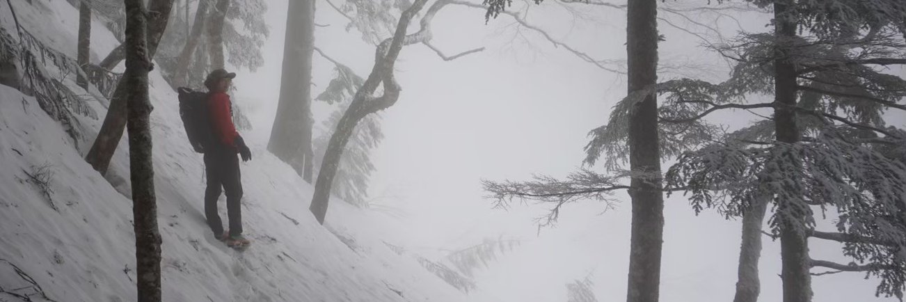 abs373's profile banner image