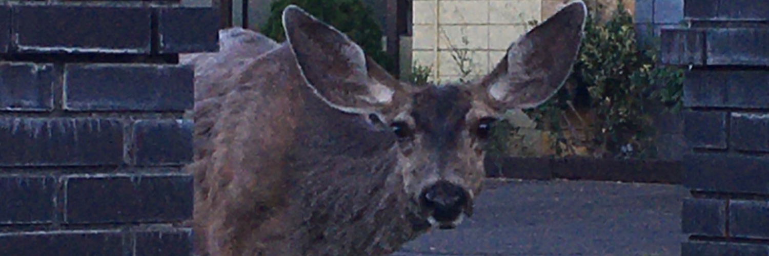 DriverMichaelJ's profile banner image