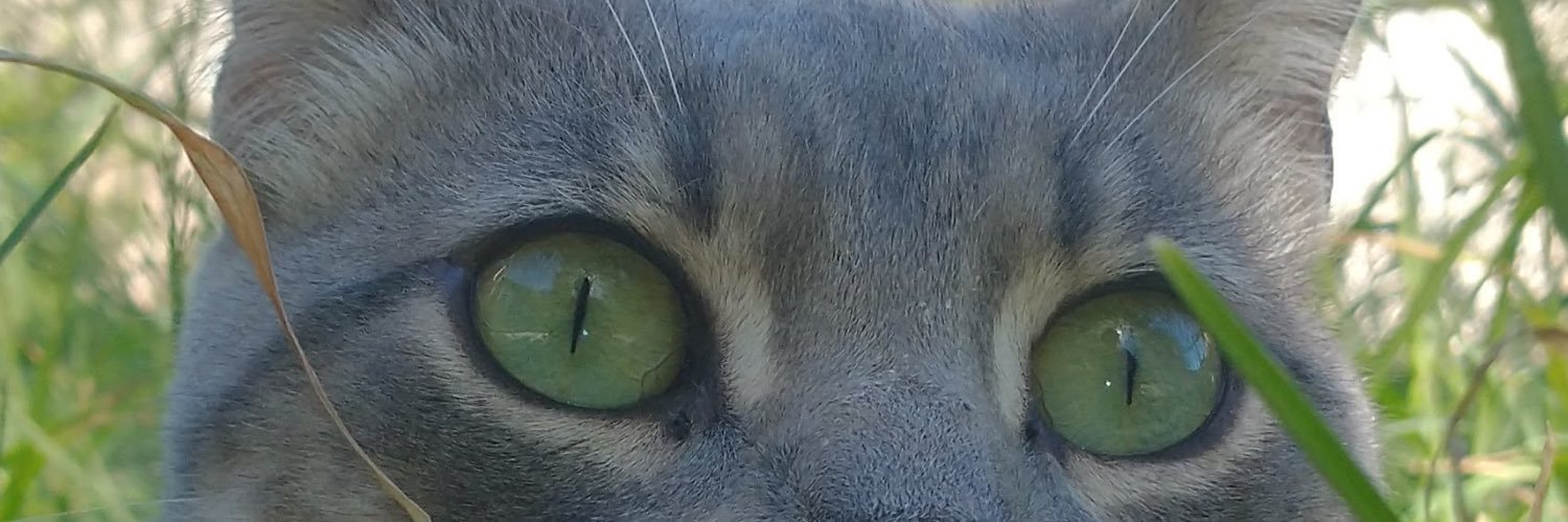 juampyy__'s profile banner image