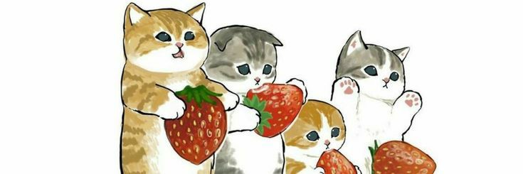 hiimmintbae's profile banner image