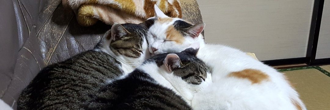 まんたろうDX banner