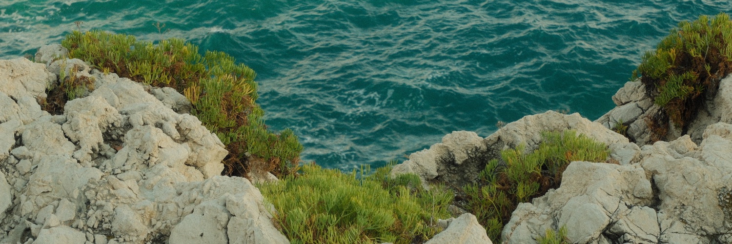 noah_campos_'s profile banner image