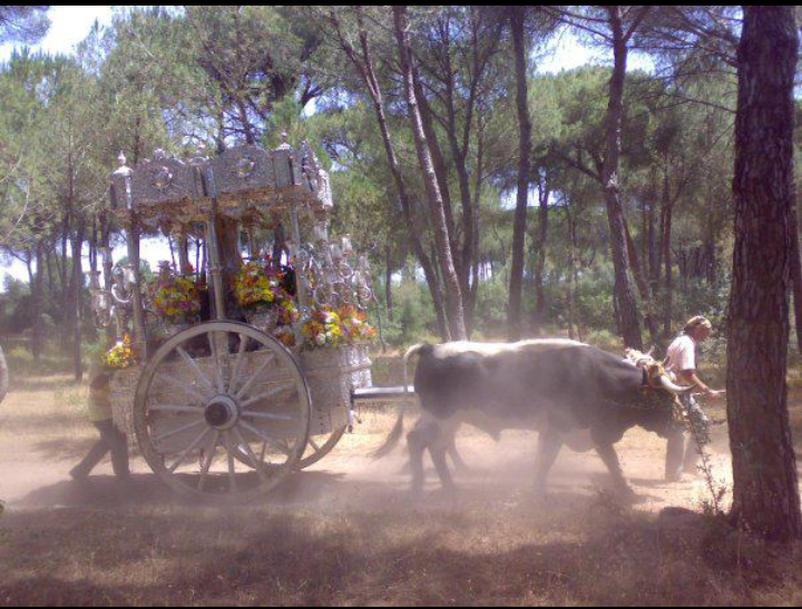 Hdad Rocío de Ecija banner