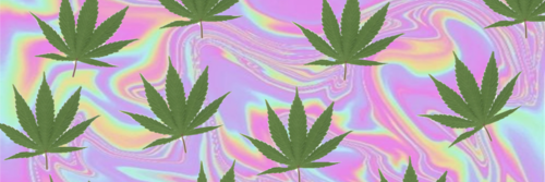 chasingthem's profile banner image