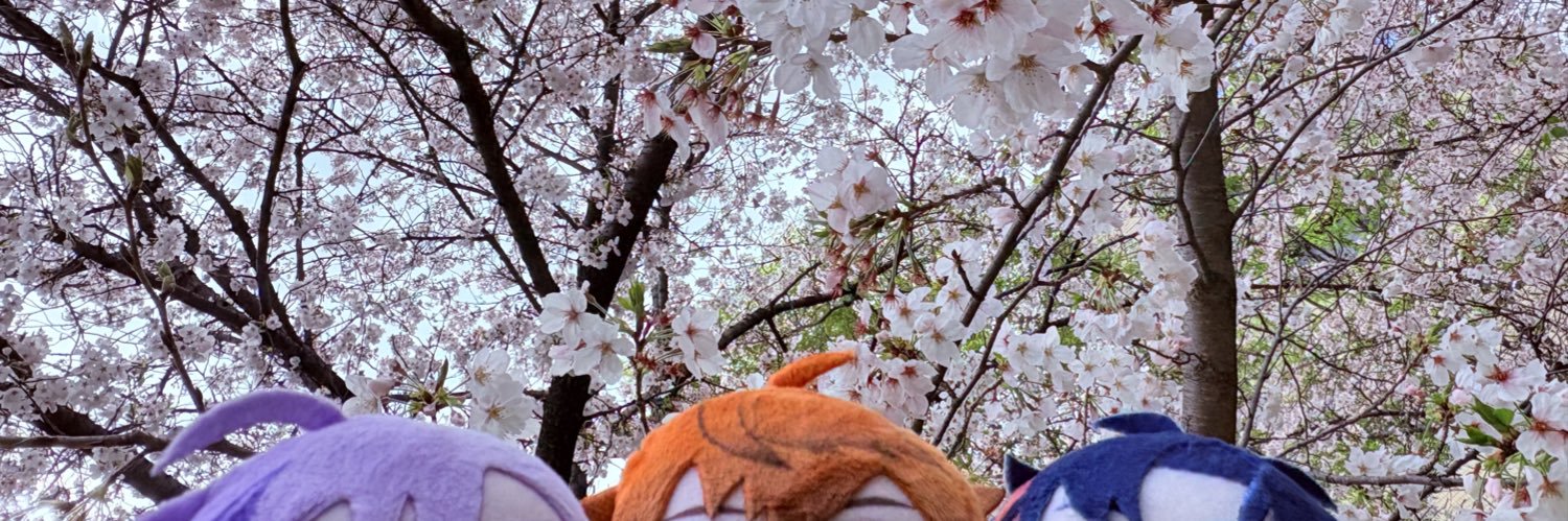 直江☆ banner