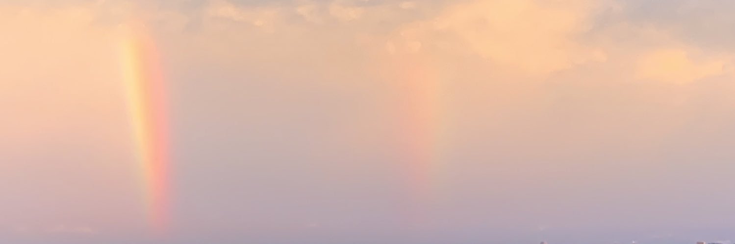 KermitKrime banner