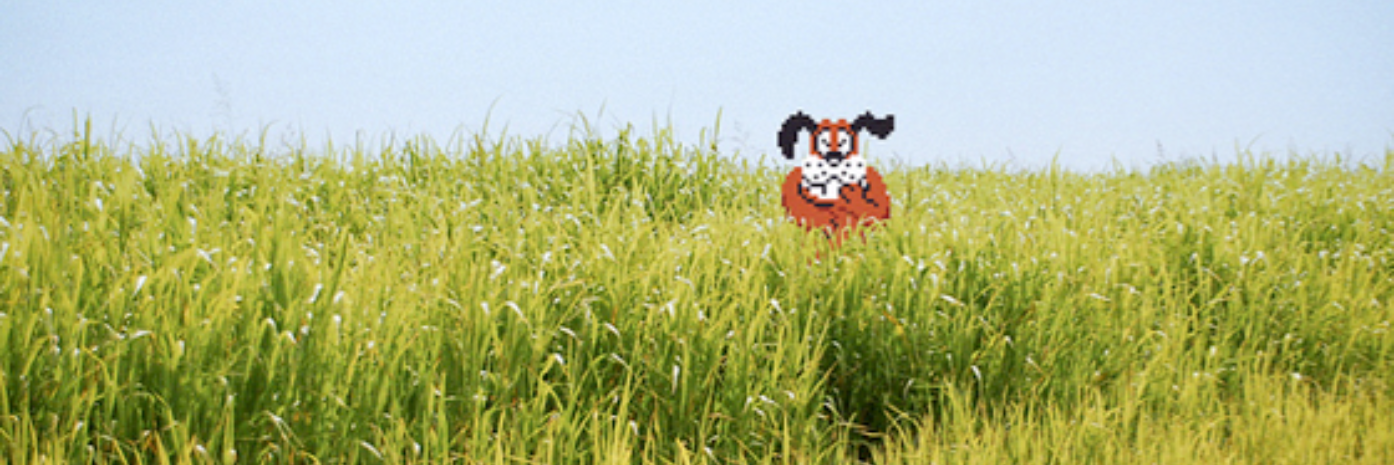 ktrose's profile banner image