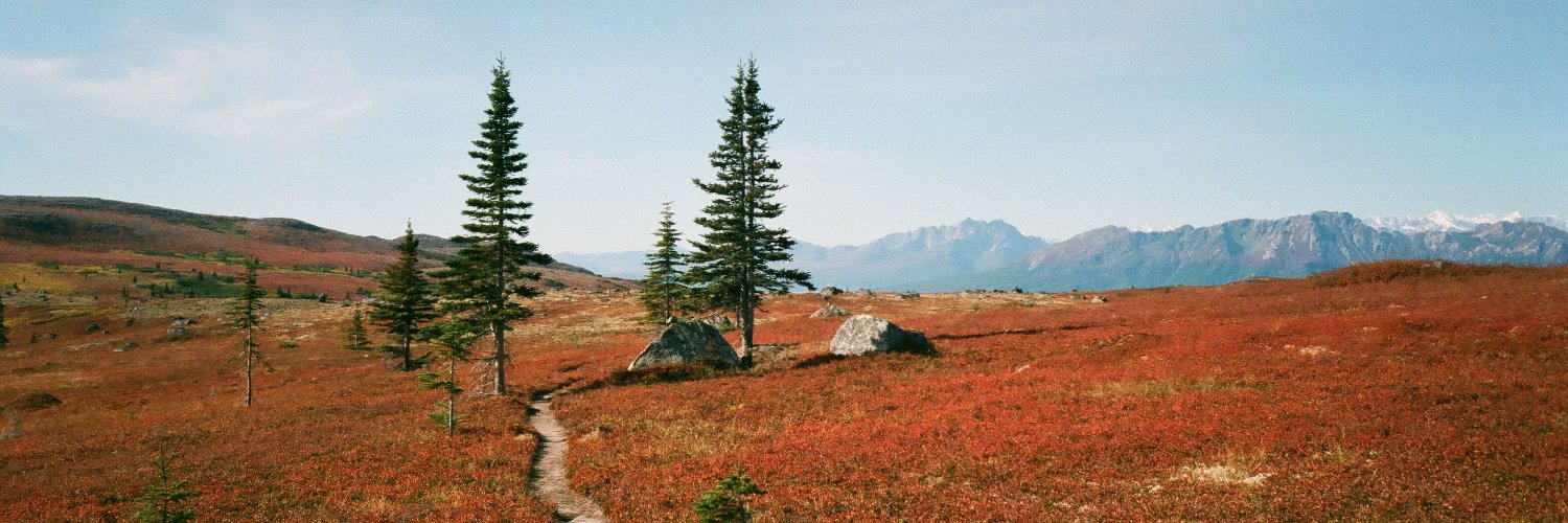 emily sullivan banner