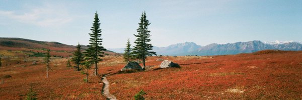 emelex_ Profile Banner