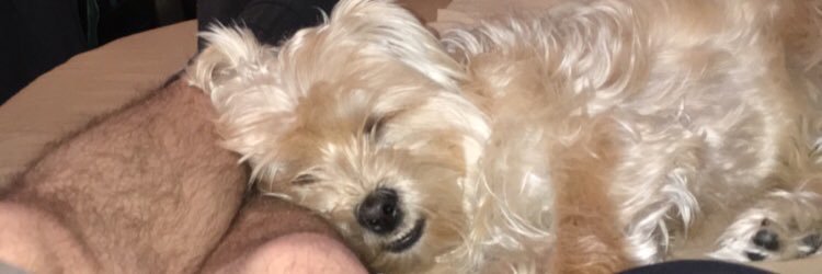 CollinColee's profile banner image