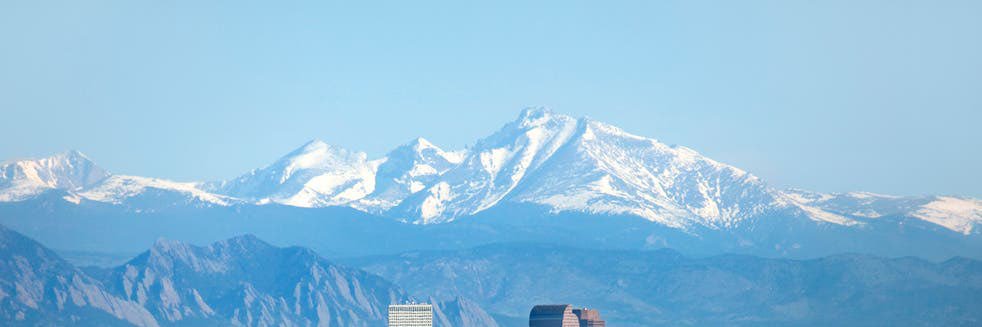 FernandaDillon's profile banner image