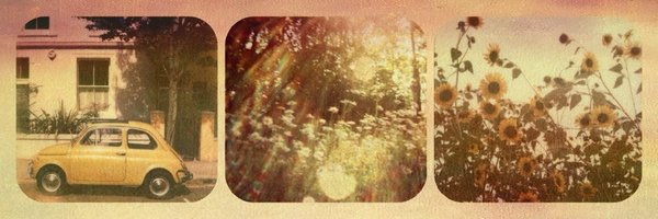 dippersdiaries Profile Banner