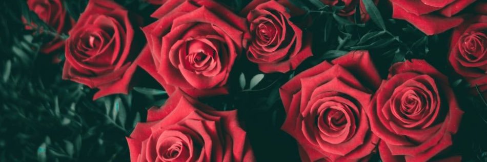 مُحبة الله ورسوله🌹 banner