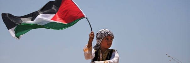 Freedom for Palestine 🇵🇸 banner