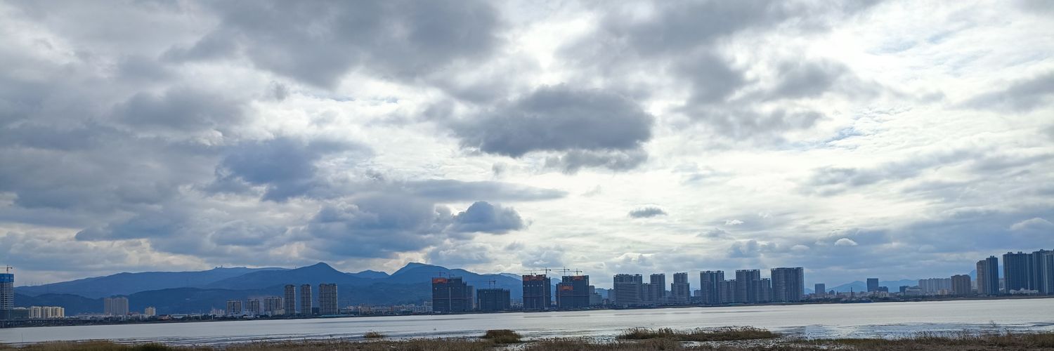 Crypto newman banner