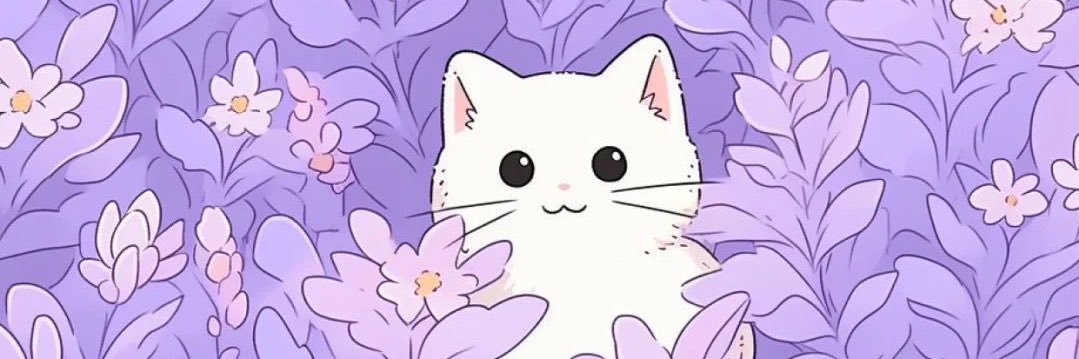 steph_ckt's profile banner image