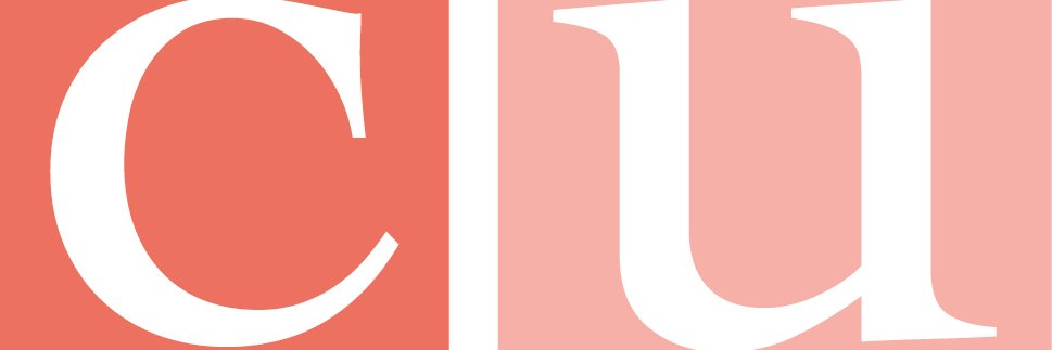 Cleaners Union banner