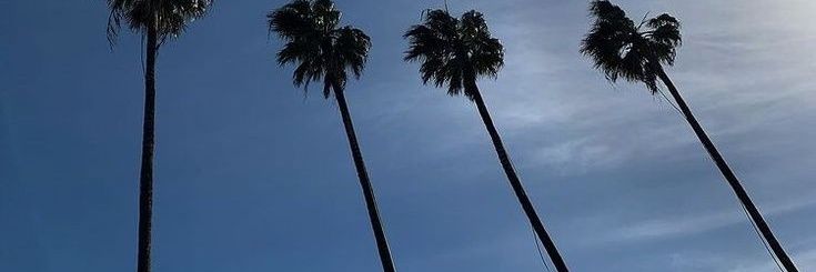 celine banner