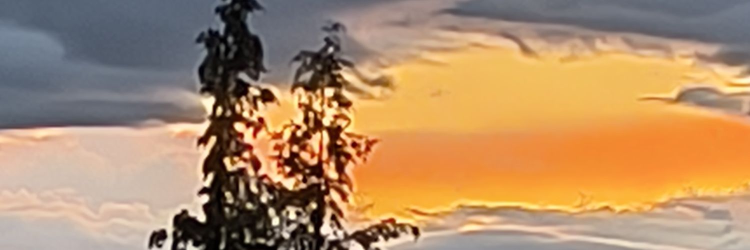 Bears2Love's profile banner image