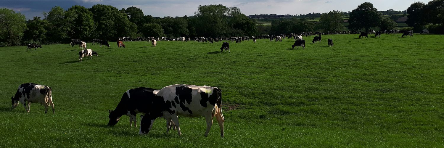 grasslands_uk's profile banner image