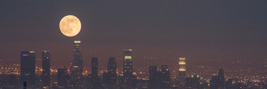 shrwnarches's profile banner image