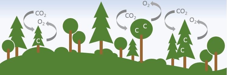 Trina Innes 🌎 🇨🇦 🇬🇧 banner