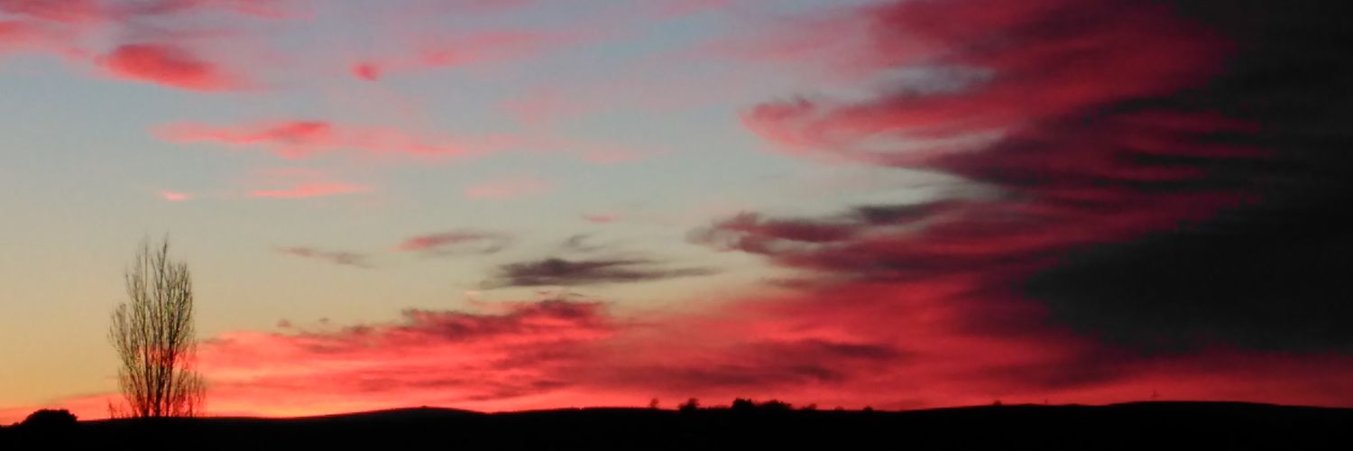 sallcraig's profile banner image