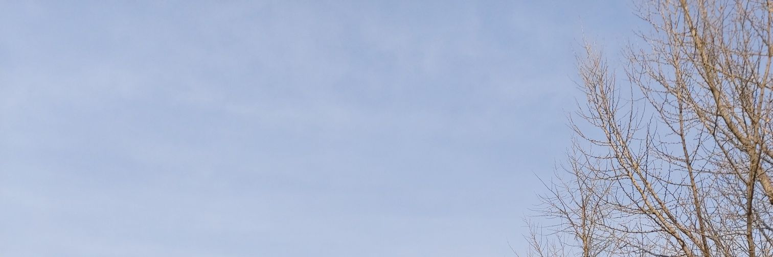 imaedesu's profile banner image