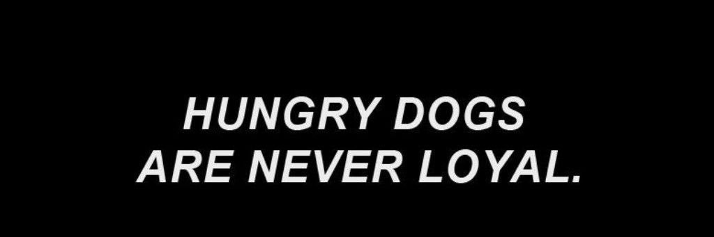 Lover Boy banner