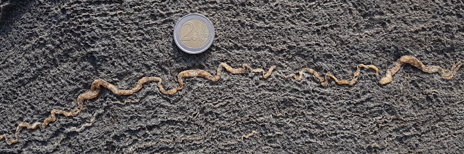 Nicolas Le Corvec banner