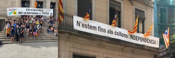 _Rosamary_ Profile Banner