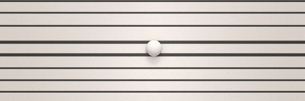 rayshan Profile Banner