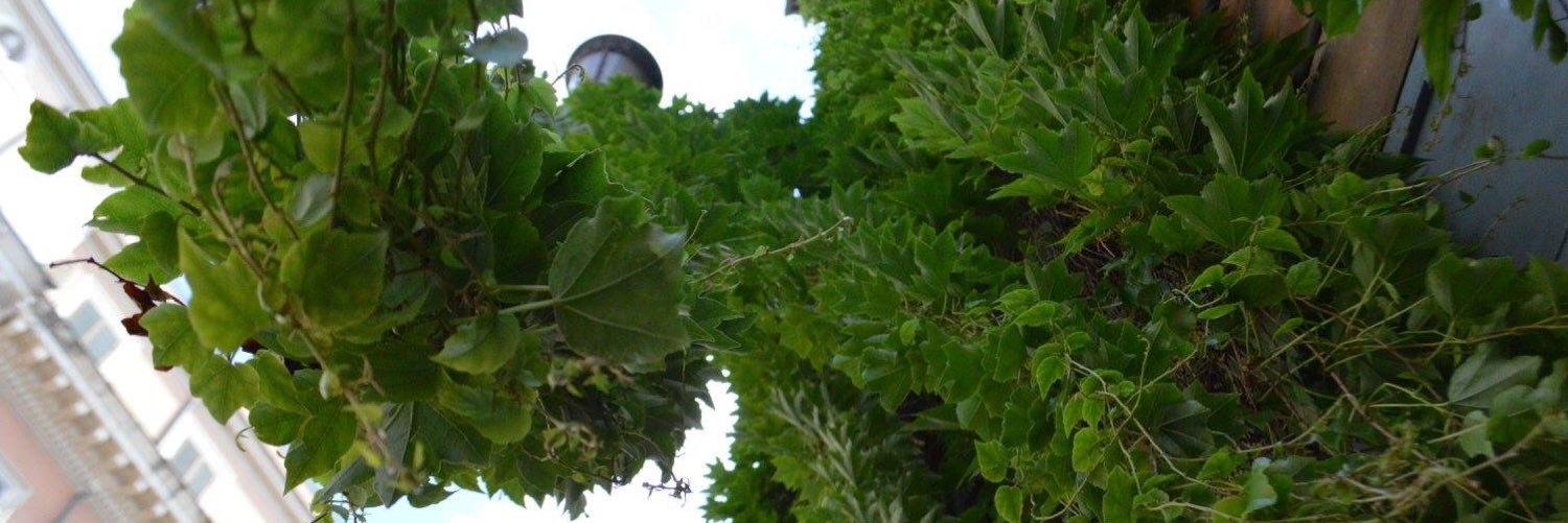 ASAP_RayRay1's profile banner image