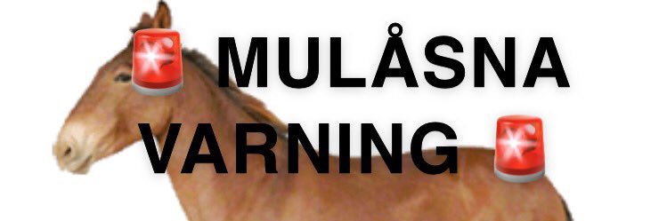 Ellensofiaaa's profile banner image