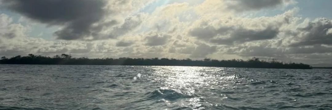 JackM036's profile banner image