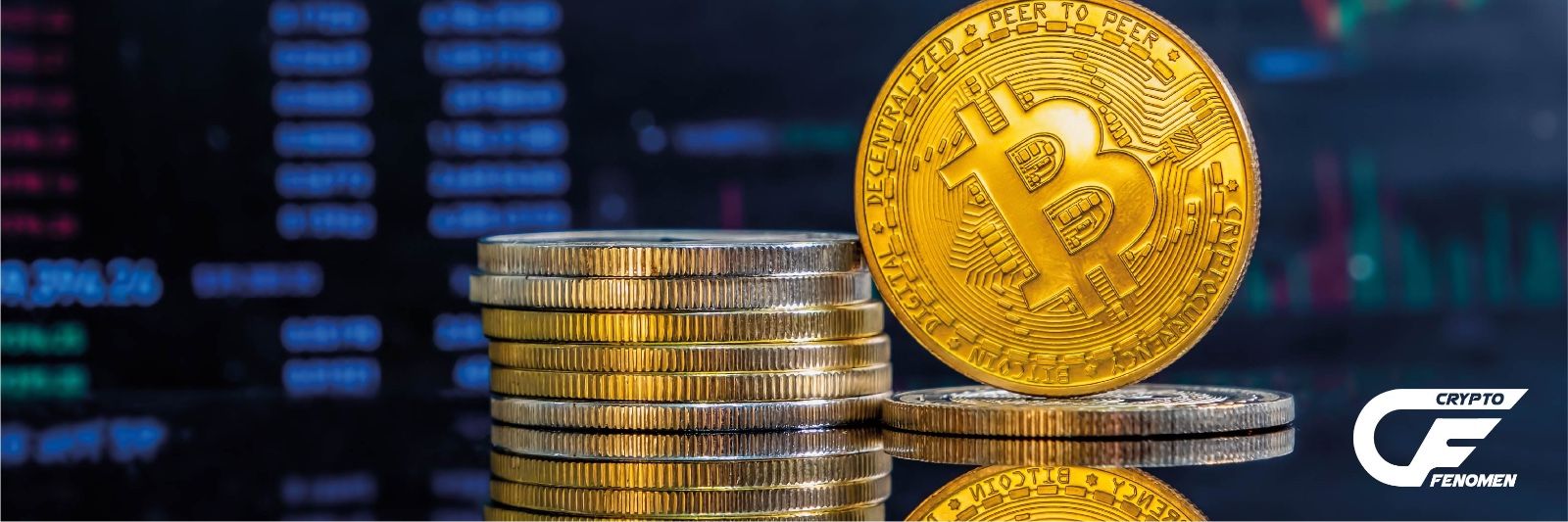 Cryptofenomenn's profile banner image