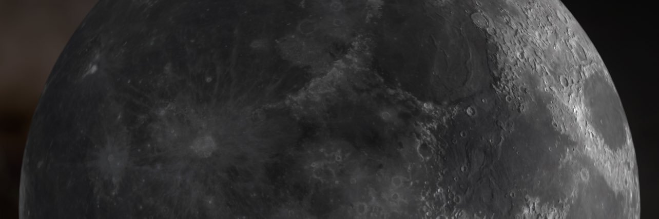 🌷 banner