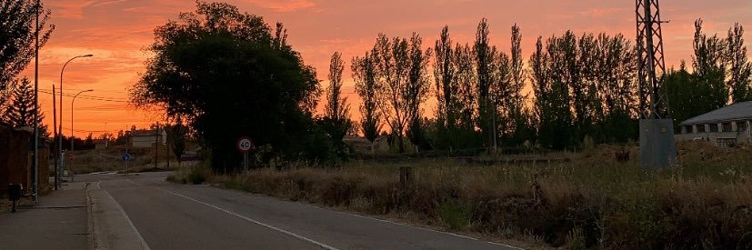 silvv :)) banner