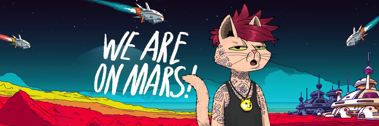 Jay B 😻🚀's banner