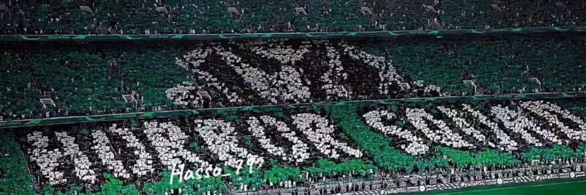 SA banner