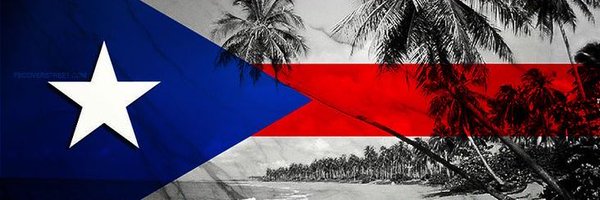 ExposedScalp Profile Banner