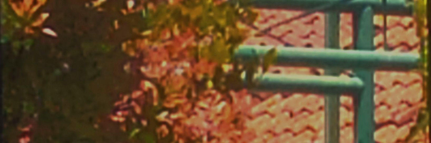 9_ghifari's profile banner image
